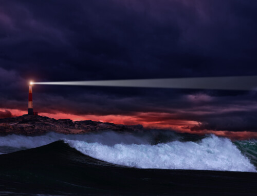 Leadership and Navigating Beyond Our Blind Spots