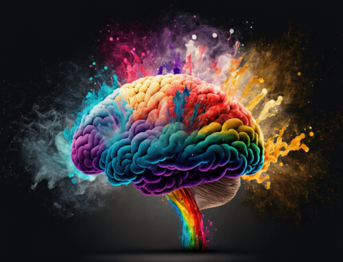 Exploring the Workings of a Successful Leader’s Mind